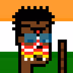 The Indian #4810
