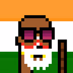The Indian #5353