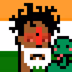 The Indian #5481