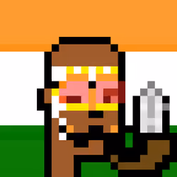 The Indian #4571