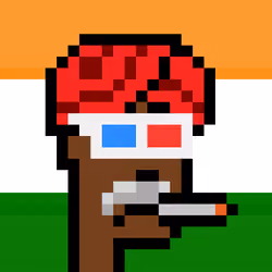 The Indian #5594