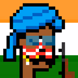 The Indian #4029