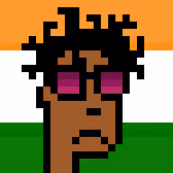 The Indian #4173
