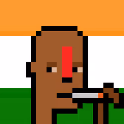 The Indian #4576