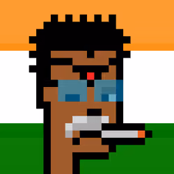 The Indian #4361