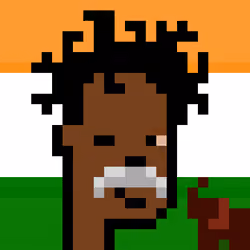 The Indian #1501