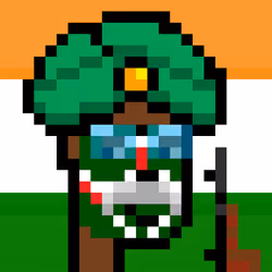 The Indian #2646
