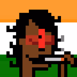 The Indian #4808