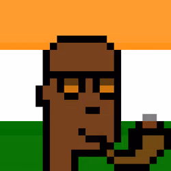 The Indian #4028