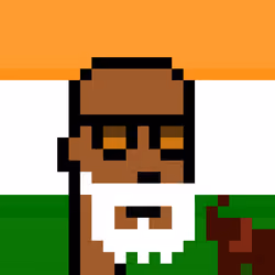 The Indian #4496