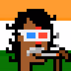 The Indian #4333