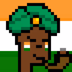 The Indian #4319