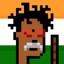 The Indian #4362