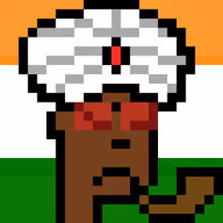 The Indian #2244
