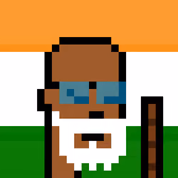The Indian #4863