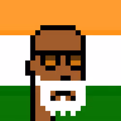 The Indian #4236