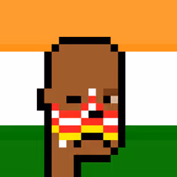 The Indian #4310