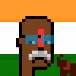 The Indian #4234