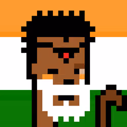 The Indian #5354