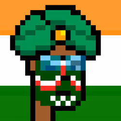 The Indian #4248