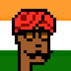 The Indian #4809