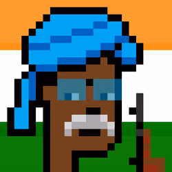 The Indian #4534