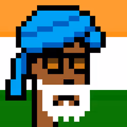 The Indian #2801
