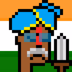 The Indian #5222