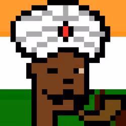 The Indian #2799
