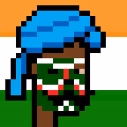 The Indian #4017