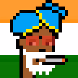 The Indian #4016