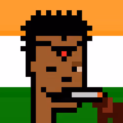 The Indian #3366