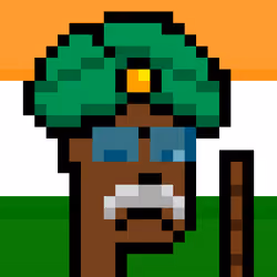 The Indian #2245