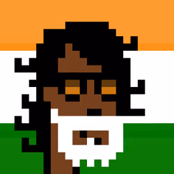 The Indian #2243