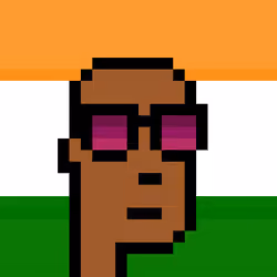 The Indian #5359
