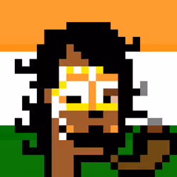 The Indian #5478