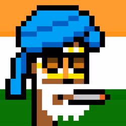 The Indian #5593