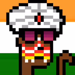 The Indian #4363