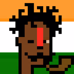 The Indian #5221