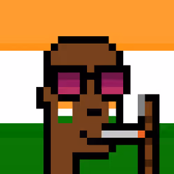 The Indian #4311