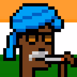 The Indian #4360