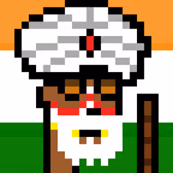 The Indian #5269