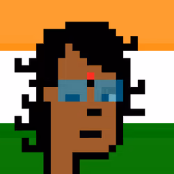 The Indian #4533