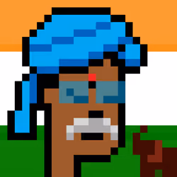 The Indian #4498