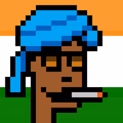 The Indian #4235