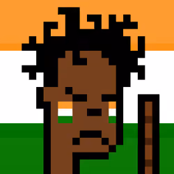 The Indian #4237