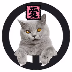 War, peace, and cat #869