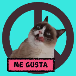 War, peace, and cat #482