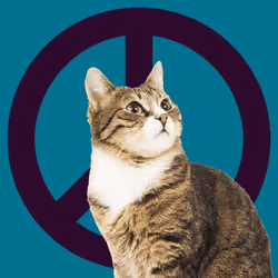 War, peace, and cat #274