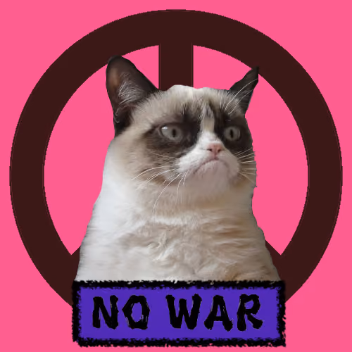 War, peace, and cat #488